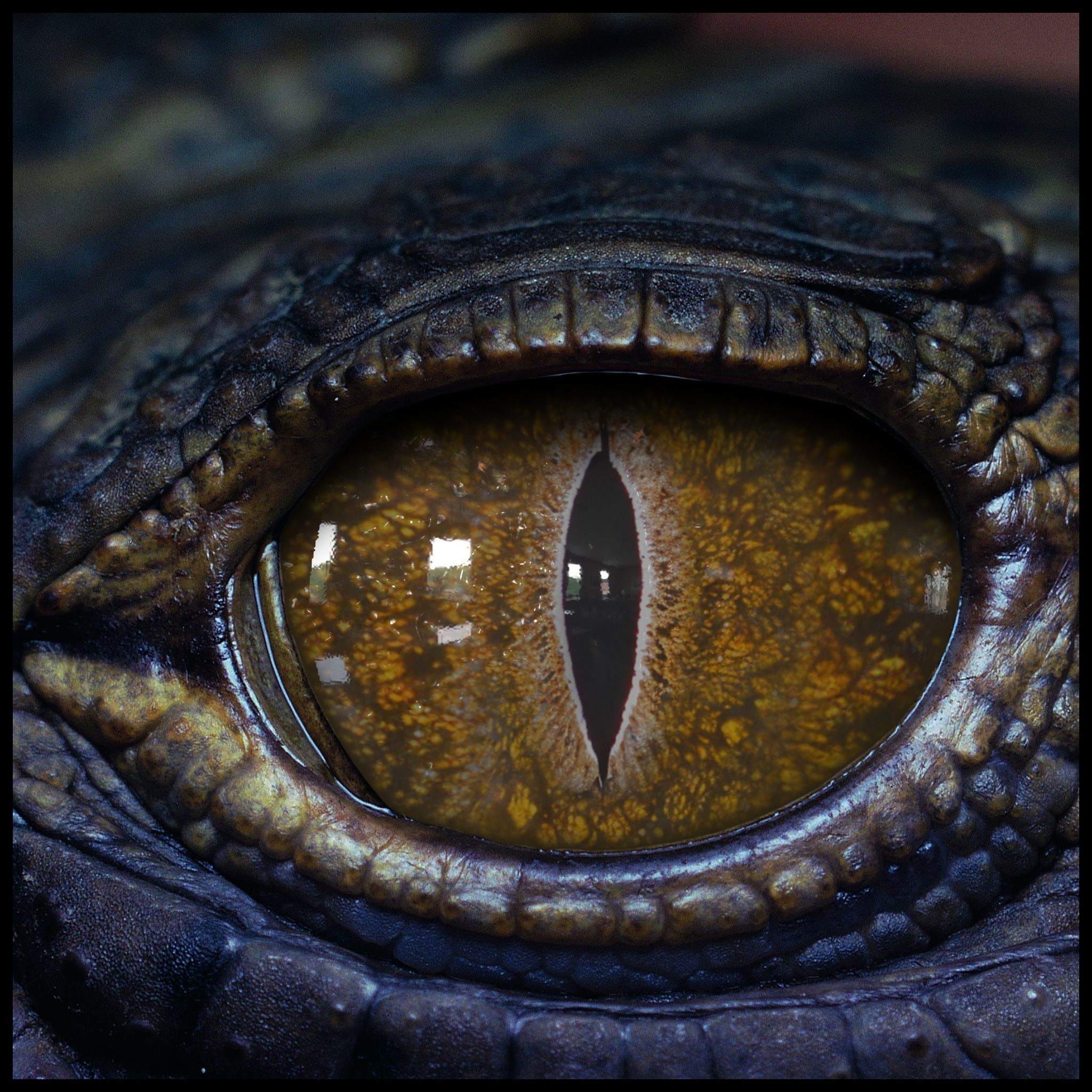 Creature Eyes Vol 09 - PBR Low-poly 3D model_8