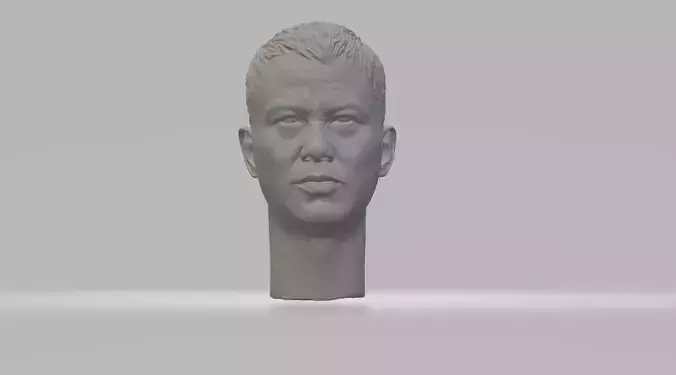 Simon Yam - Ren Dahua Head 3D print model