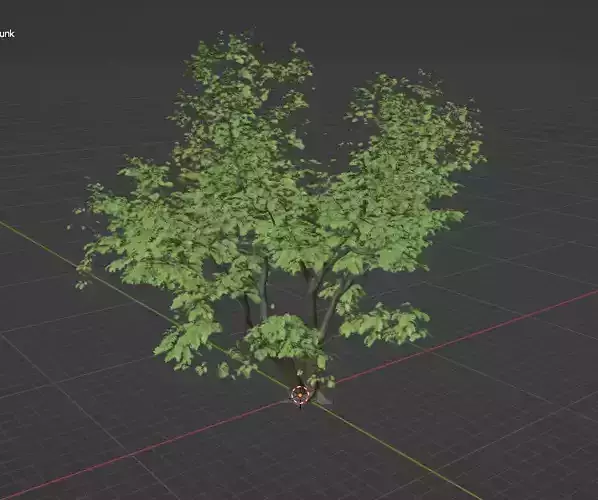 Realistic 3D Model of a Jacaranda Tree