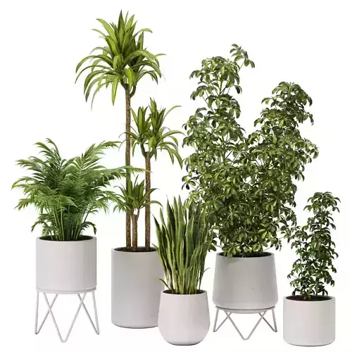 plant In Pots set 09