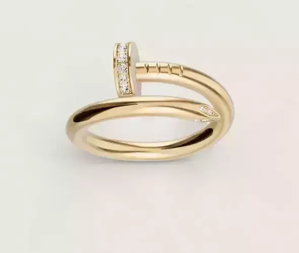 JUSTE UN CLOU RING 3D print model