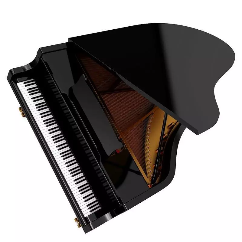 Grand Piano 3D model_0