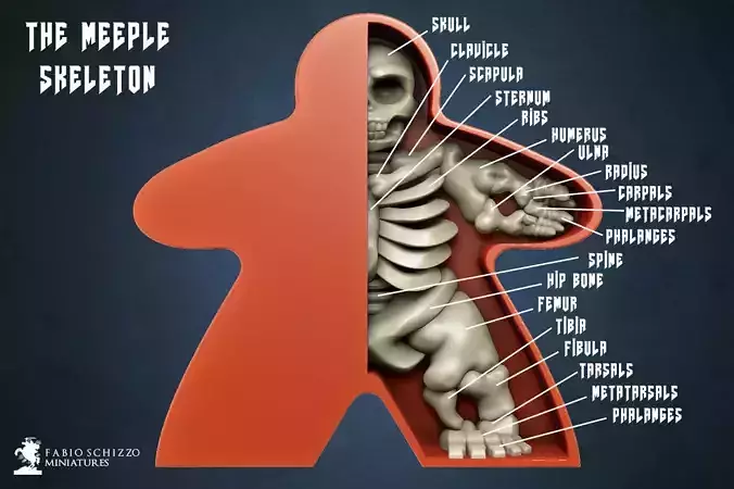 The Meeple Skeleton Art Toy  3D print model The Meeple Skeleton Art Toy  3D print model