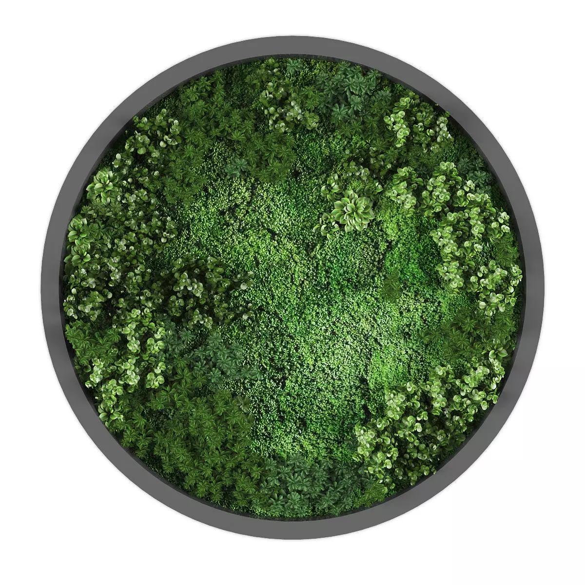 Vertical garden 215 Low-poly 3D model_0