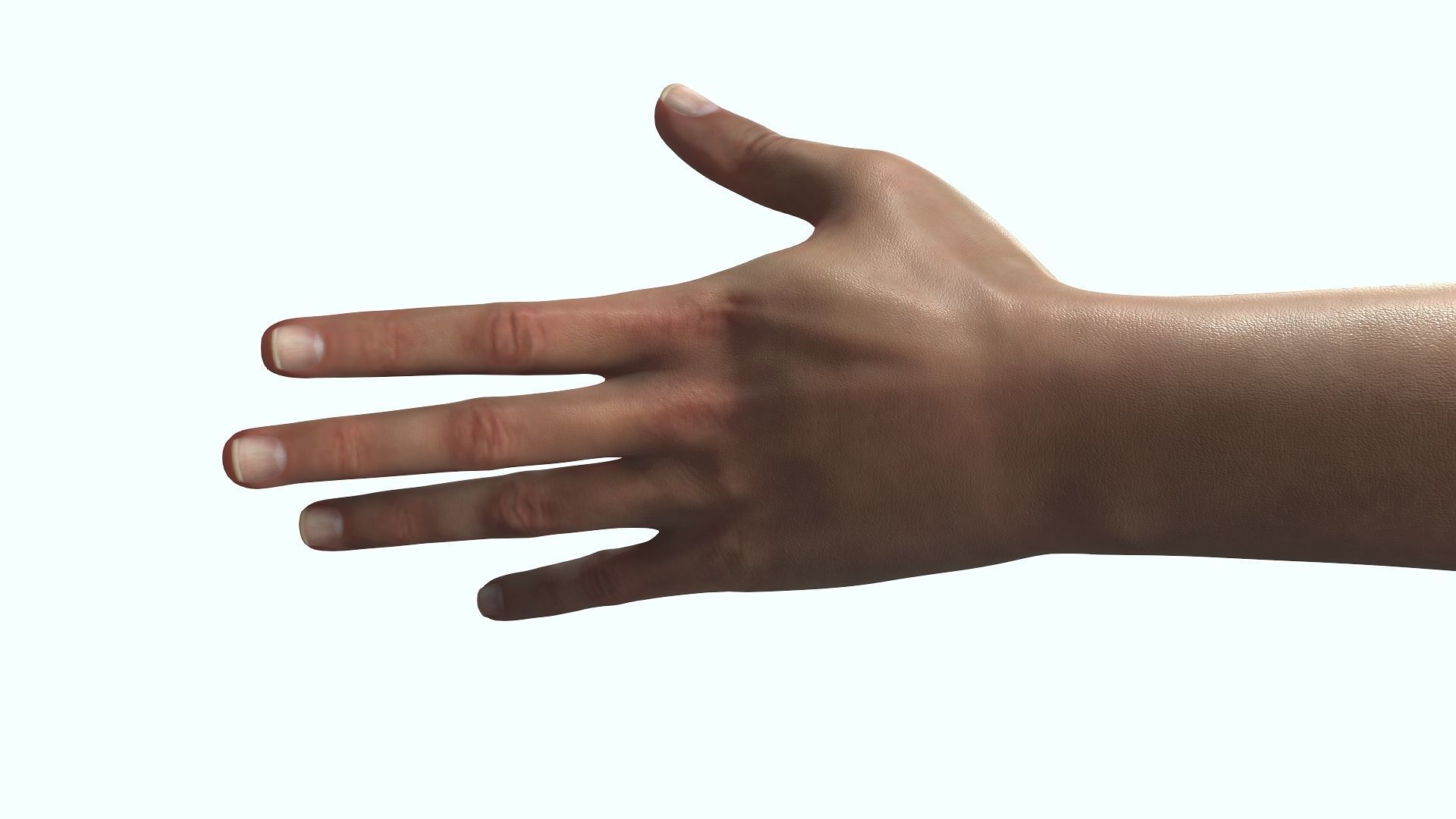 Female Hand Dark Black Skin Rigged for Cinema 4D Low-poly 3D model_10