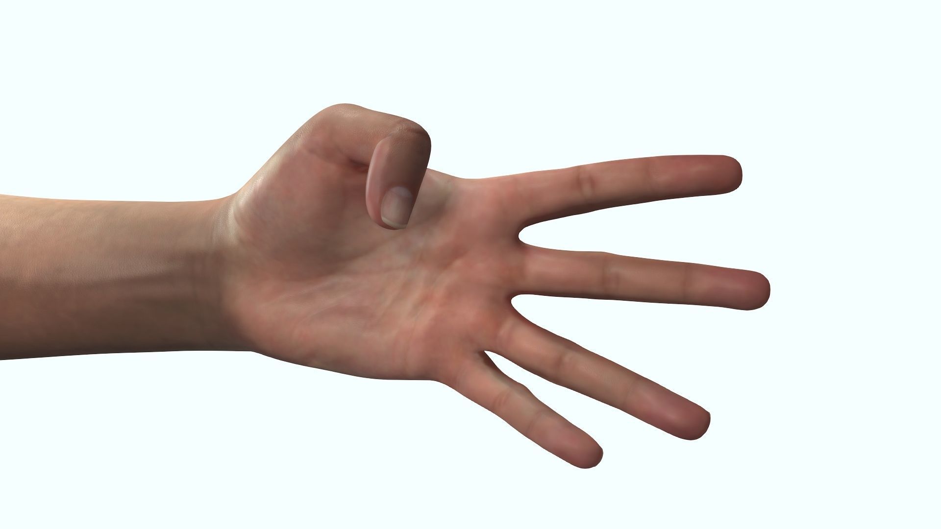 Female Hand Dark Black Skin Rigged for Cinema 4D Low-poly 3D model_2