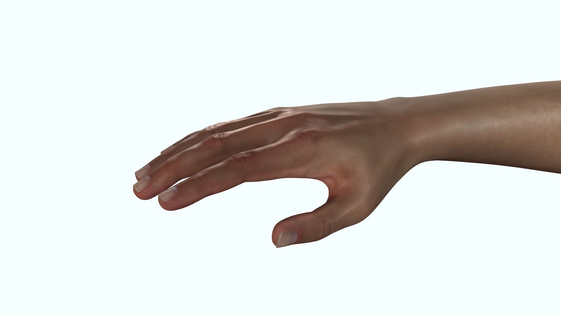 Female Hand Dark Black Skin Rigged for Cinema 4D Low-poly 3D model_6