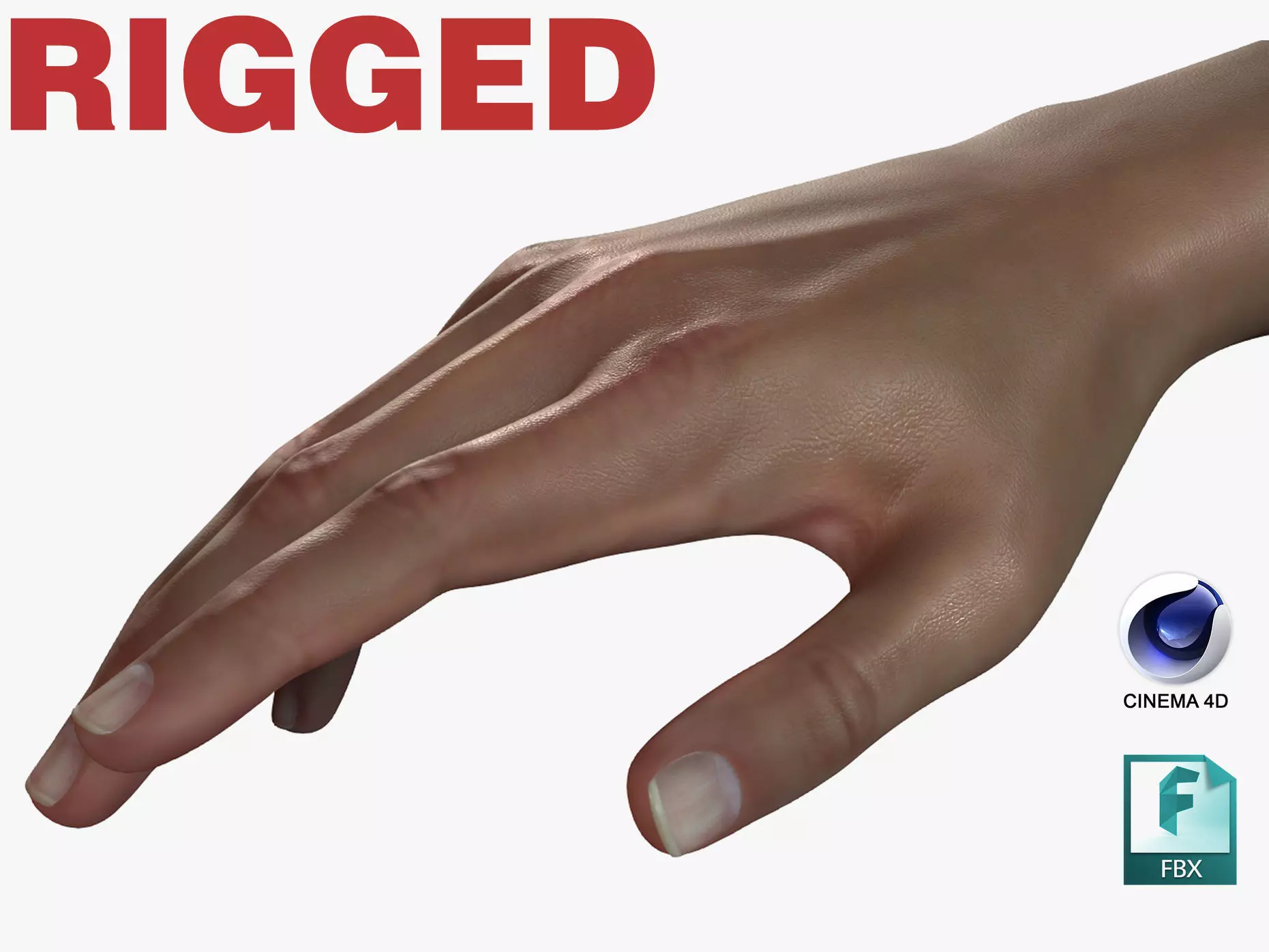 Female Hand Dark Black Skin Rigged for Cinema 4D Low-poly 3D model_0