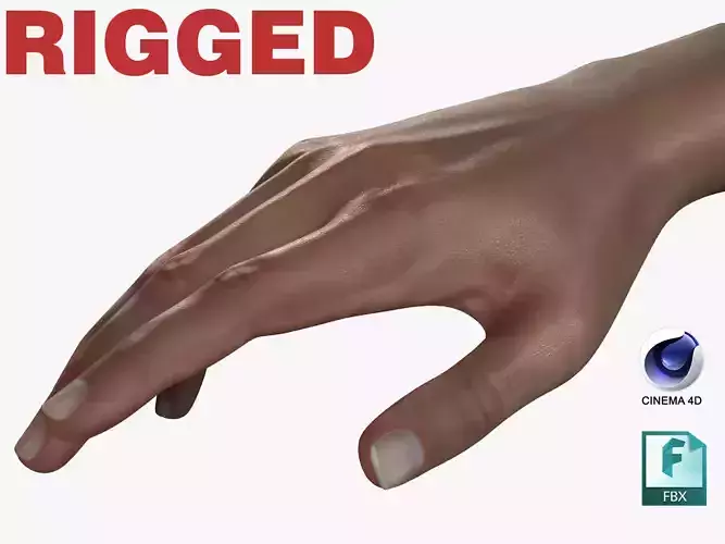 Female Hand Dark Black Skin Rigged for Cinema 4D Low-poly 3D model