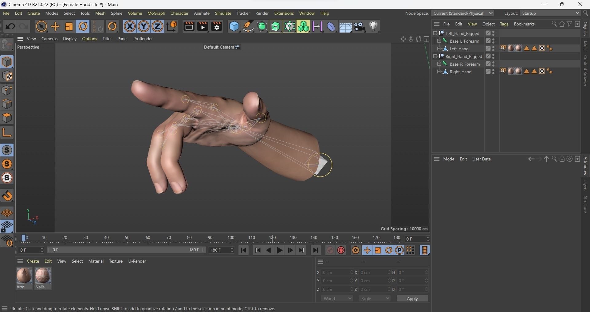 Female Hand Dark Black Skin Rigged for Cinema 4D Low-poly 3D model_16