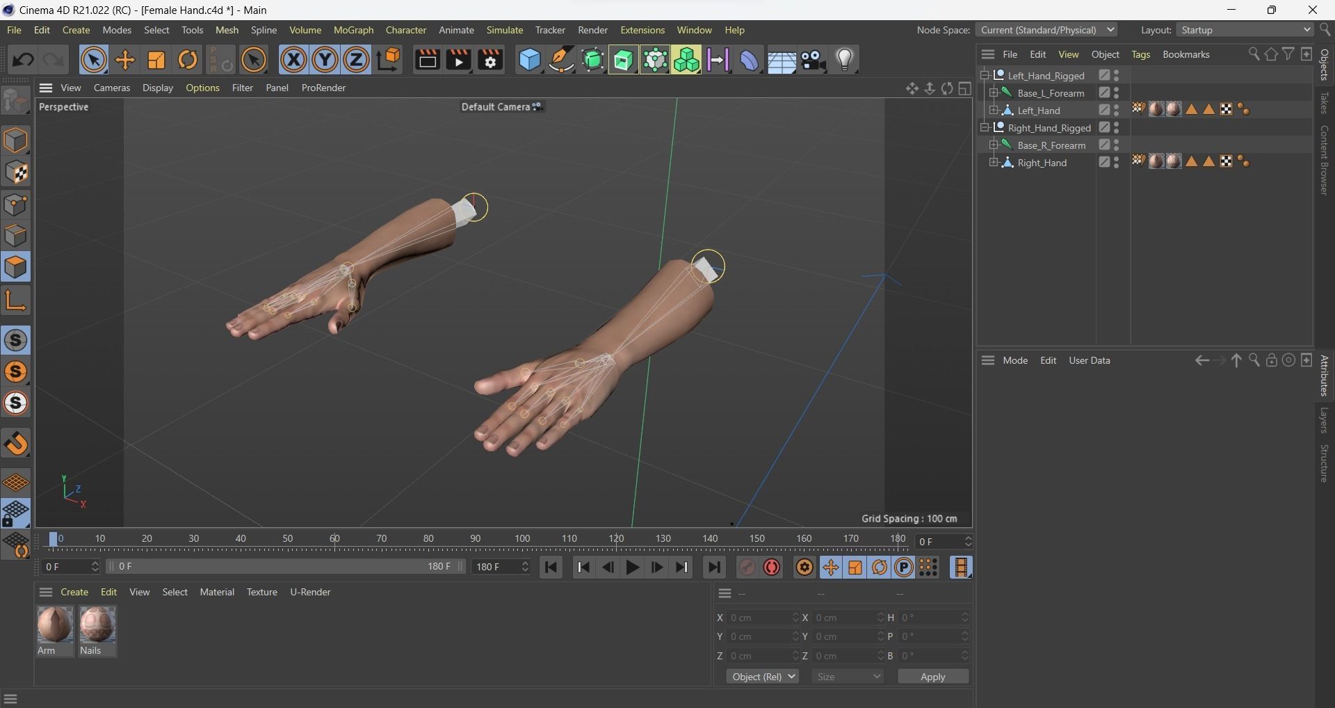 Female Hand Dark Black Skin Rigged for Cinema 4D Low-poly 3D model_14