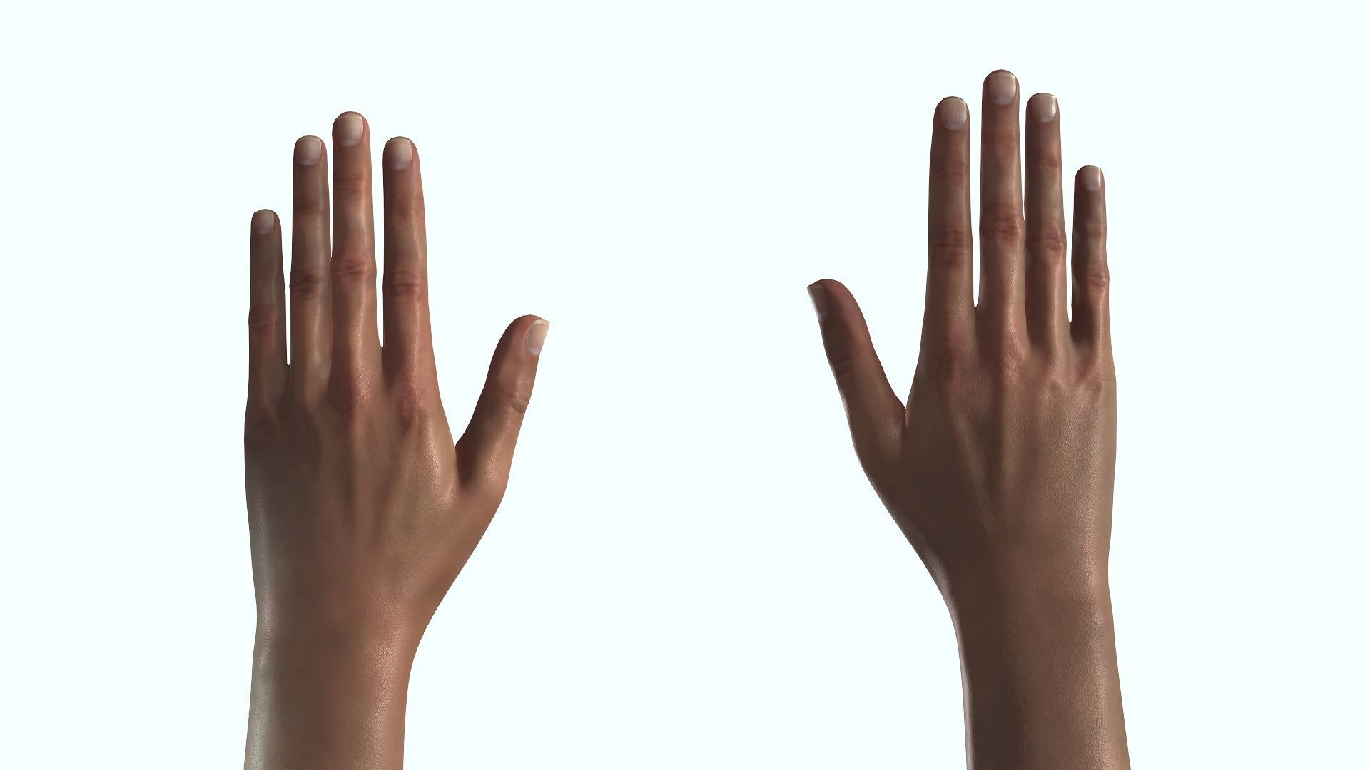 Female Hand Dark Black Skin Rigged for Cinema 4D Low-poly 3D model_7