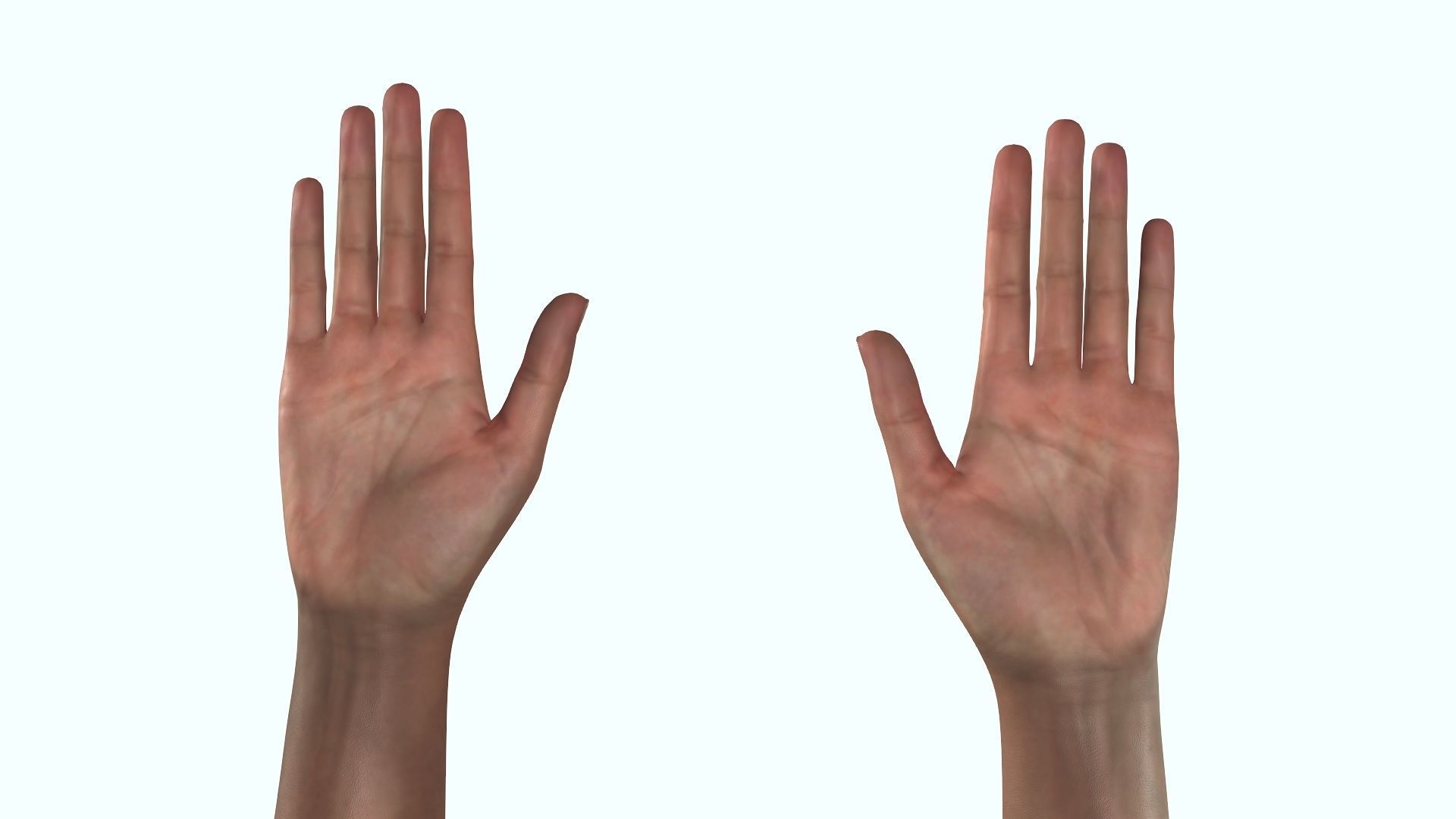 Female Hand Dark Black Skin Rigged for Cinema 4D Low-poly 3D model_8