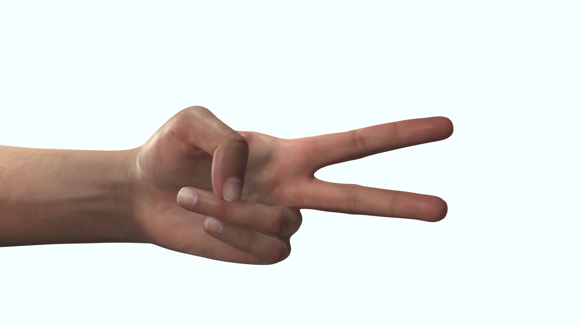 Female Hand Dark Black Skin Rigged for Cinema 4D Low-poly 3D model_13