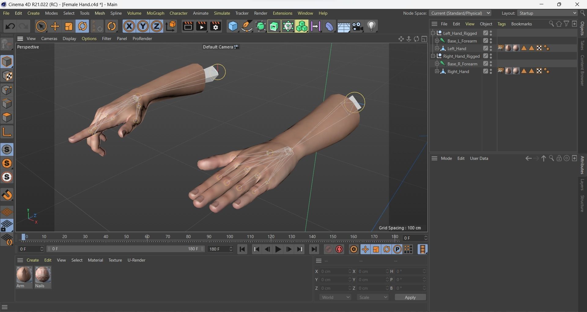 Female Hand Dark Black Skin Rigged for Cinema 4D Low-poly 3D model_15