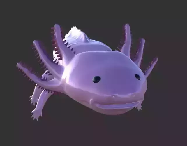 Axolotl
