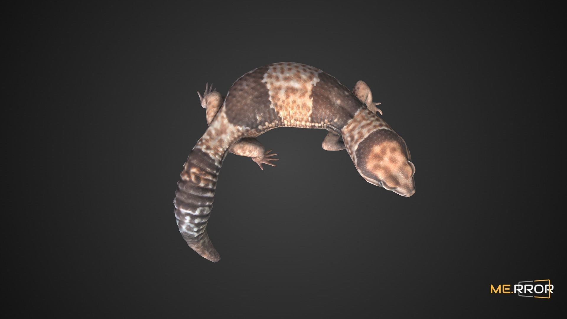 Game Ready Lizard Low-poly 3D model_9