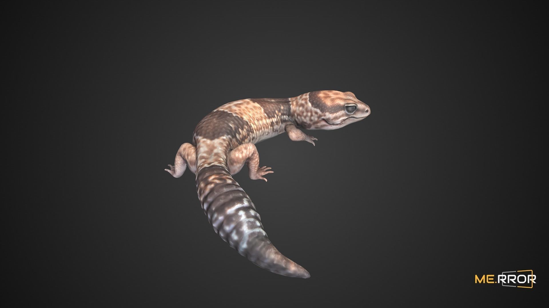 Game Ready Lizard Low-poly 3D model_6