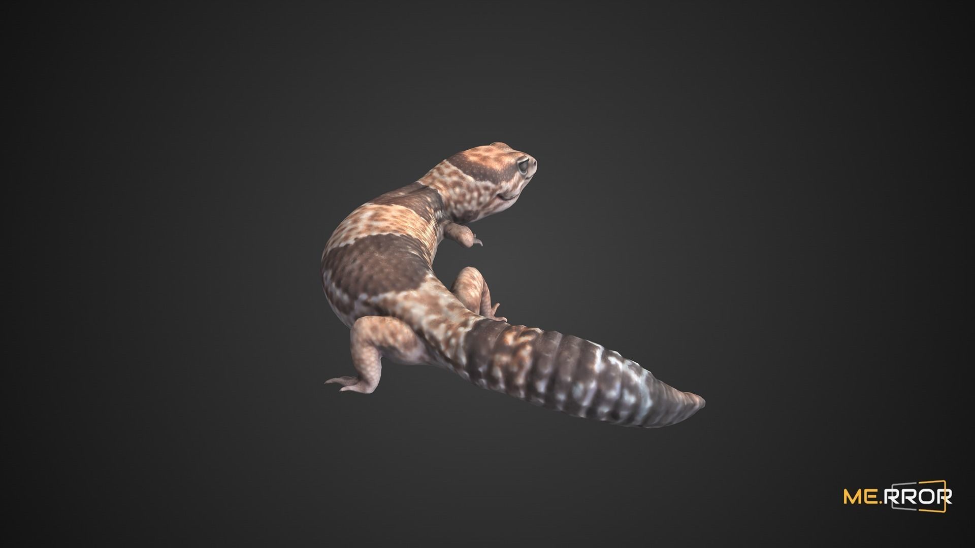 Game Ready Lizard Low-poly 3D model_5