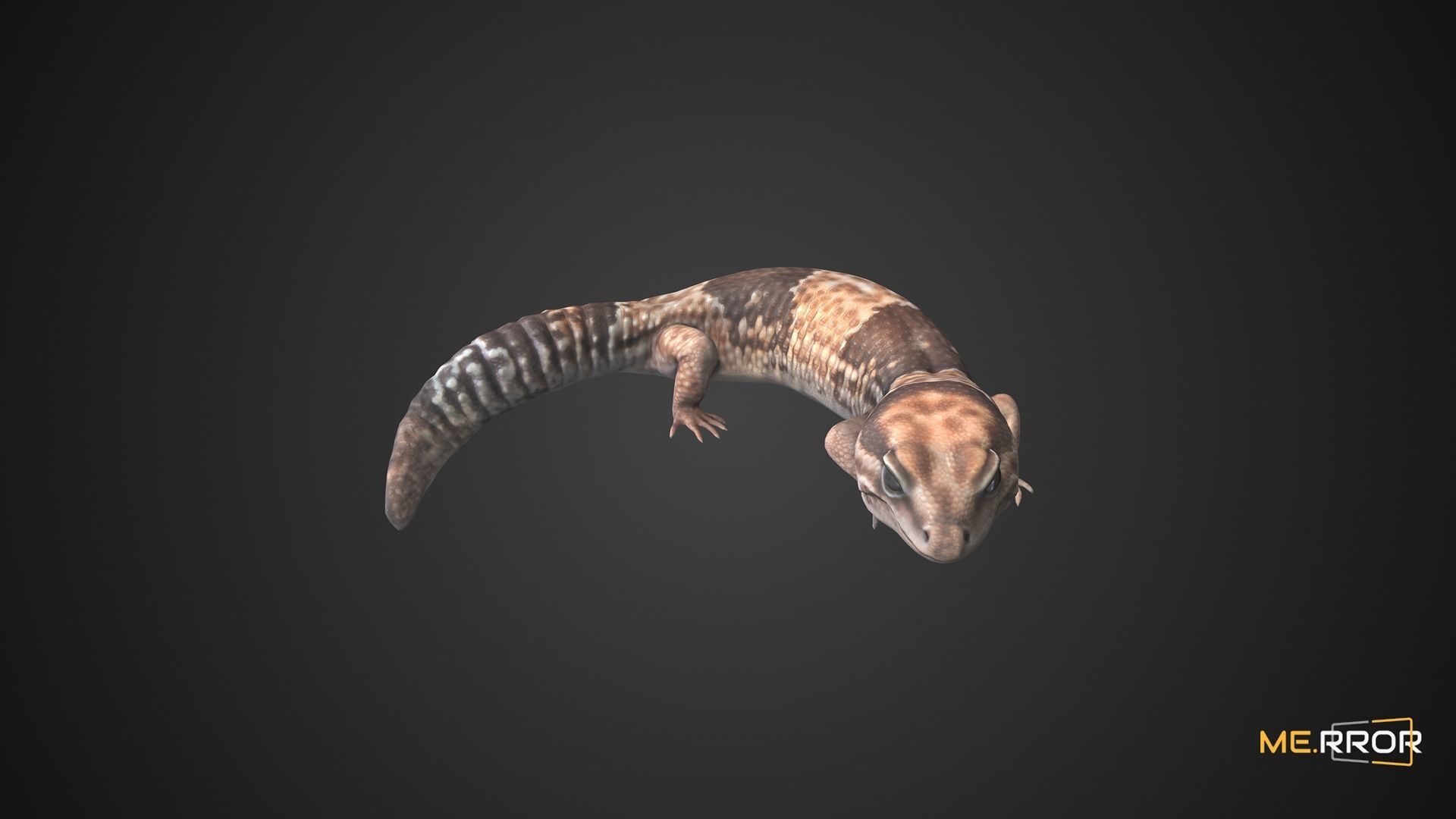 Game Ready Lizard Low-poly 3D model_7