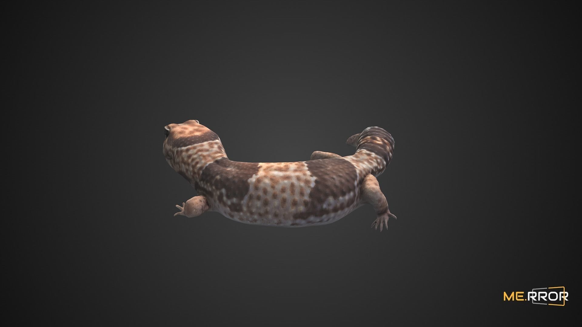 Game Ready Lizard Low-poly 3D model_3