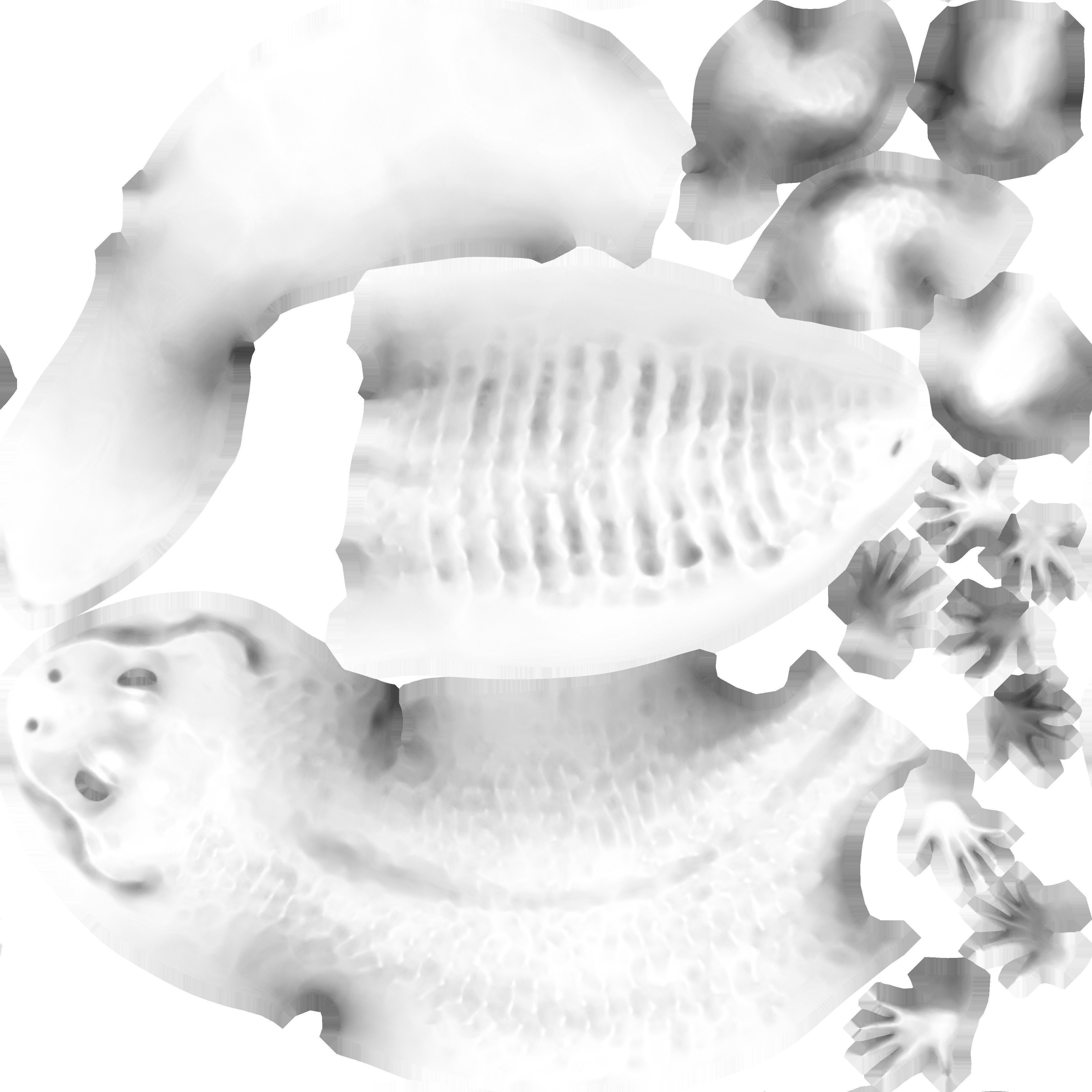 Game Ready Lizard Low-poly 3D model_15