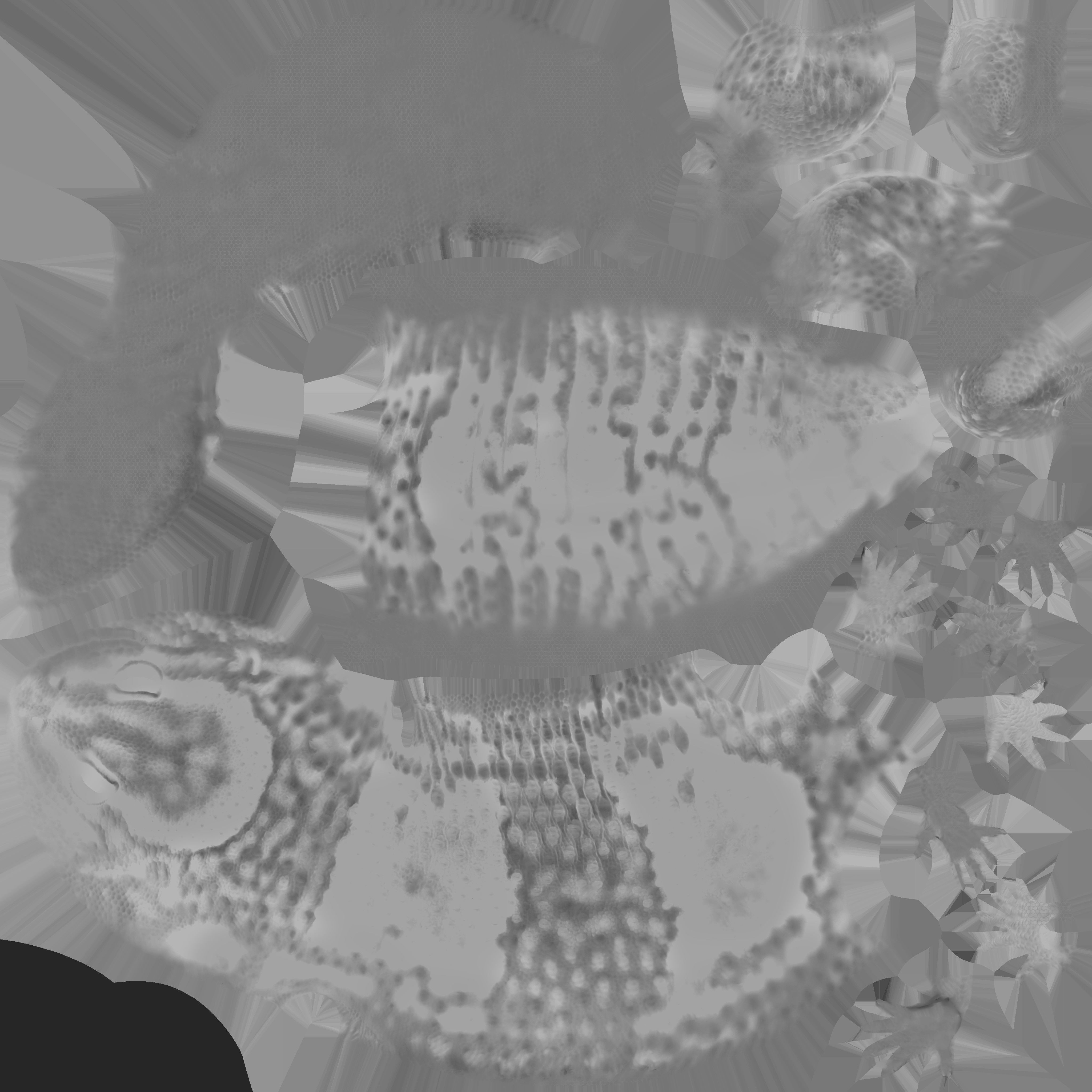 Game Ready Lizard Low-poly 3D model_19