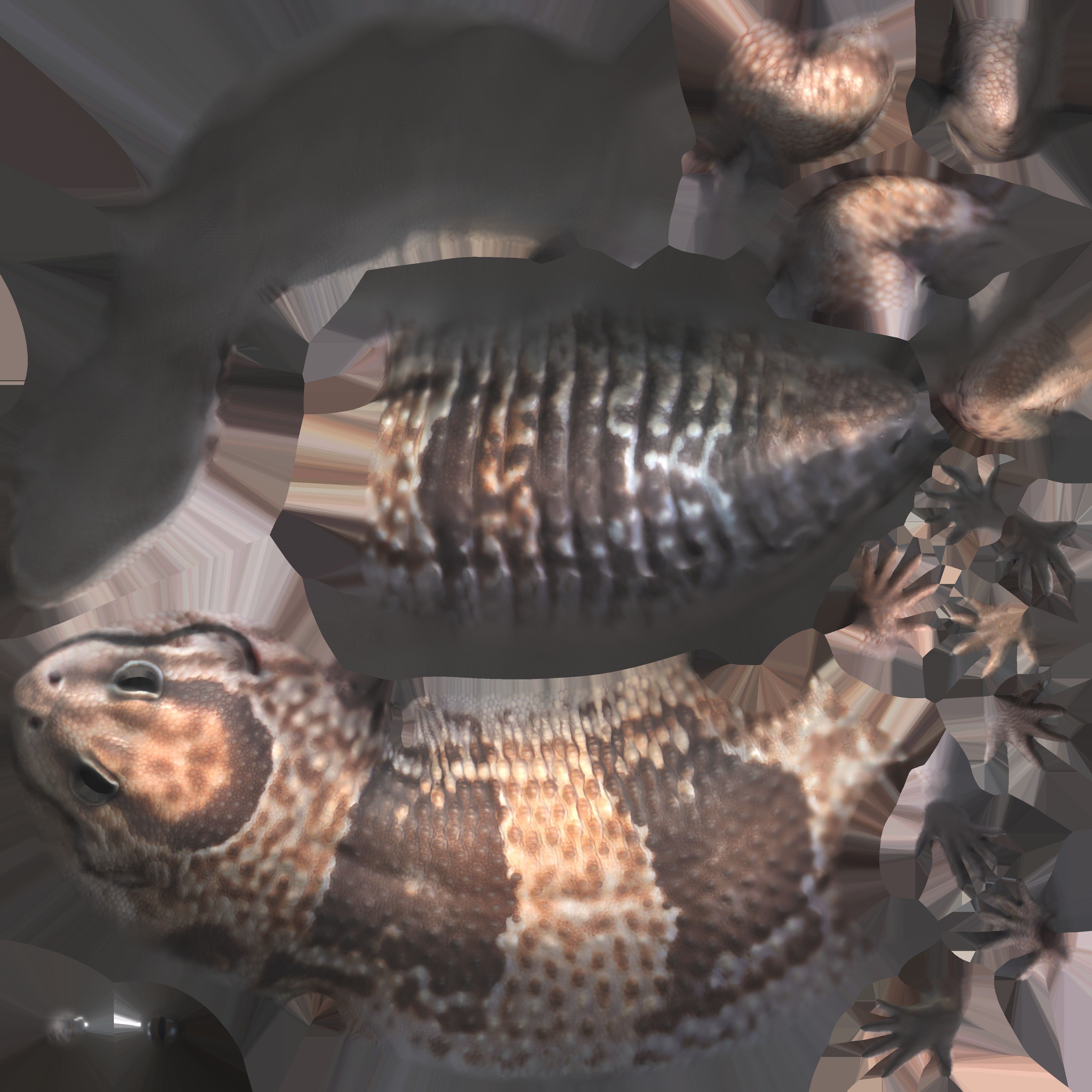 Game Ready Lizard Low-poly 3D model_16