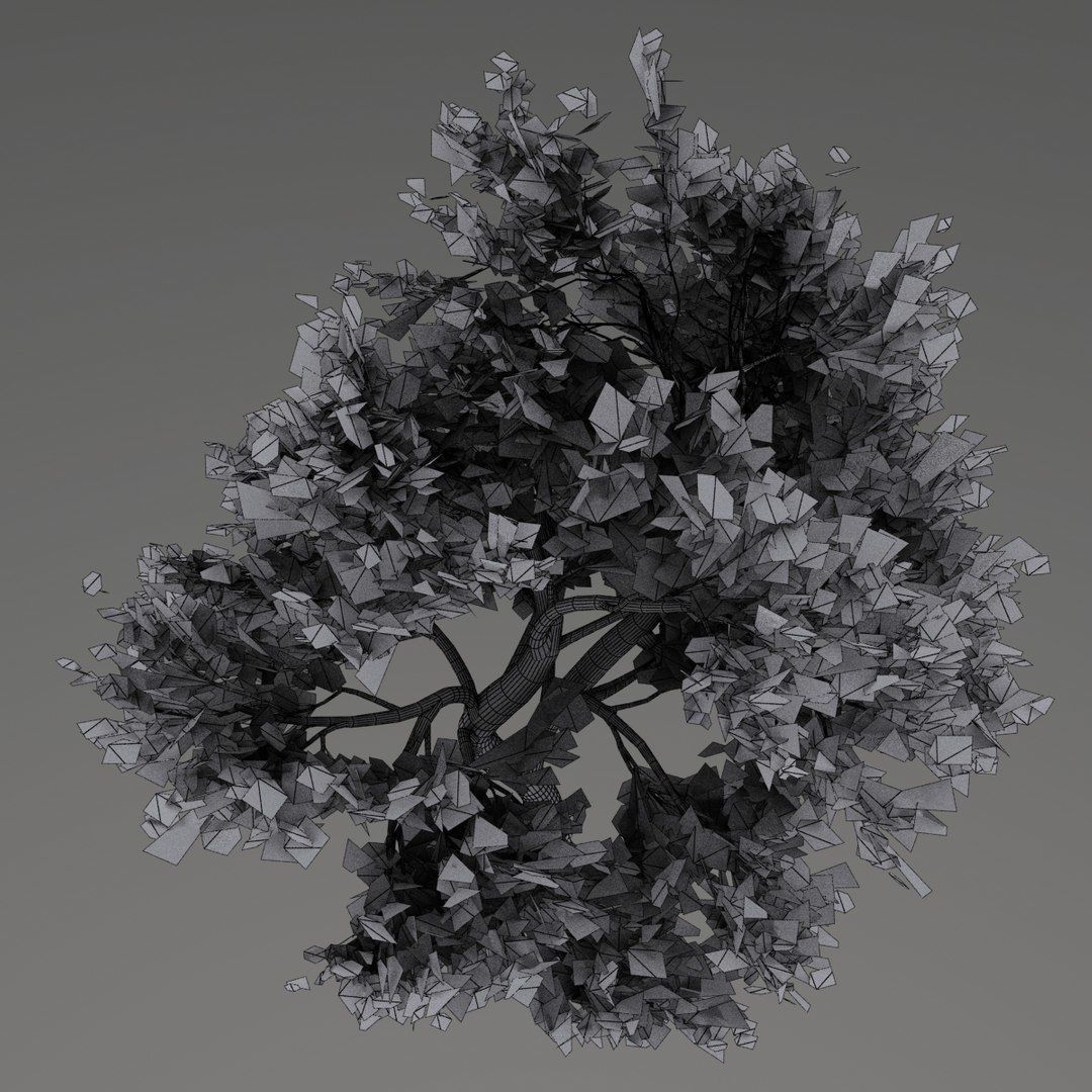 Maple Tree Low-poly 3D model_12