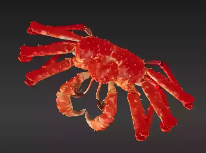 King Crab 3D Model 