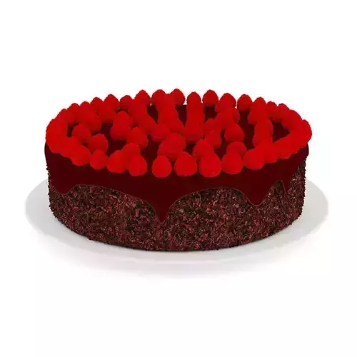 Chocolate Cake with Raspberries