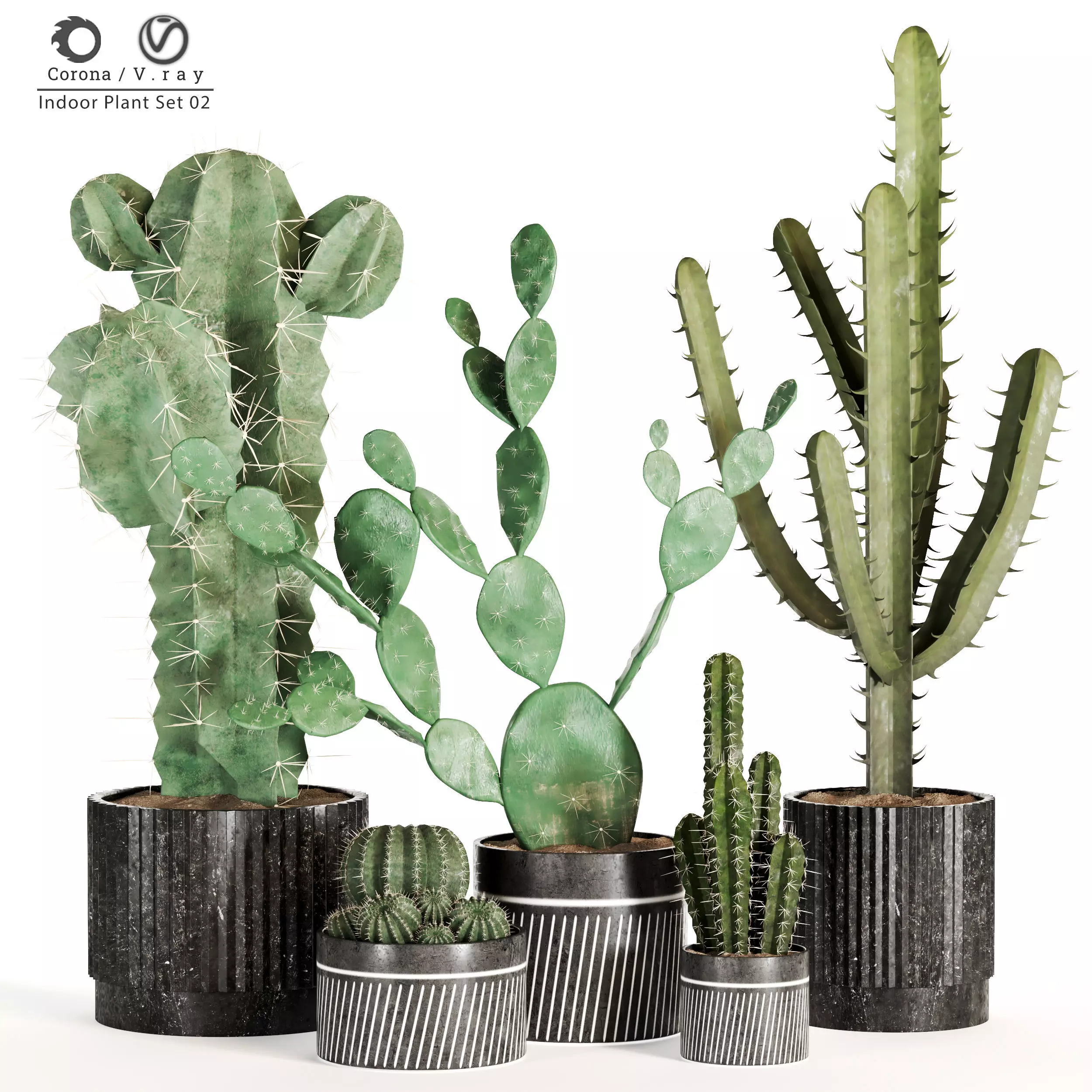 Indoor Plant Set 02 3D model_0