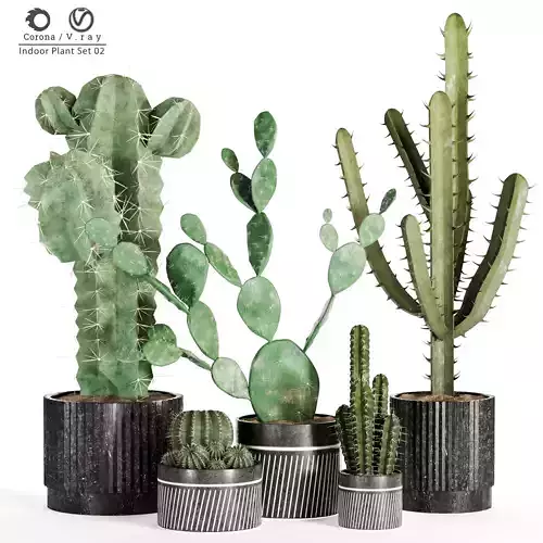 Indoor Plant Set 02 3D model