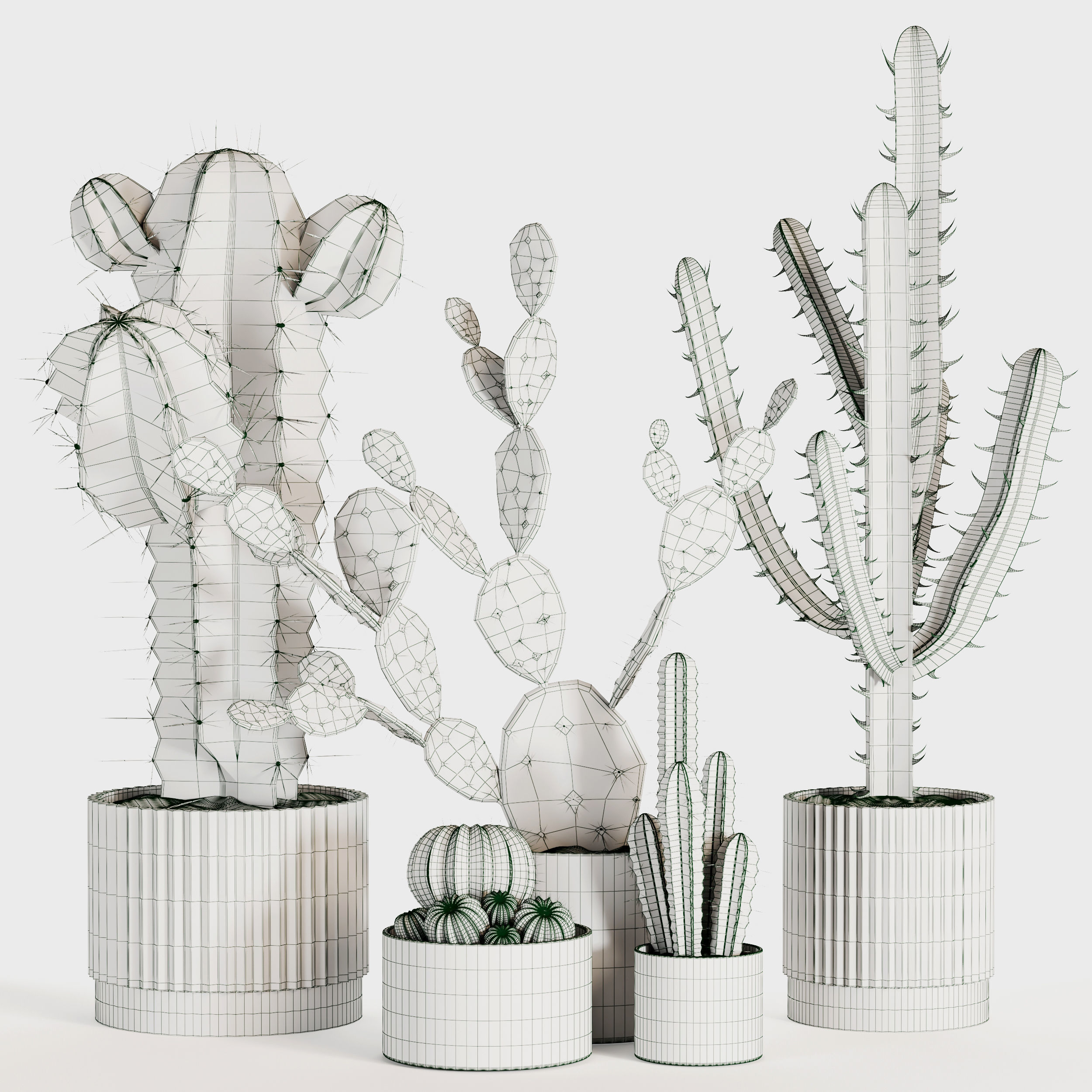 Indoor Plant Set 02 3D model_3