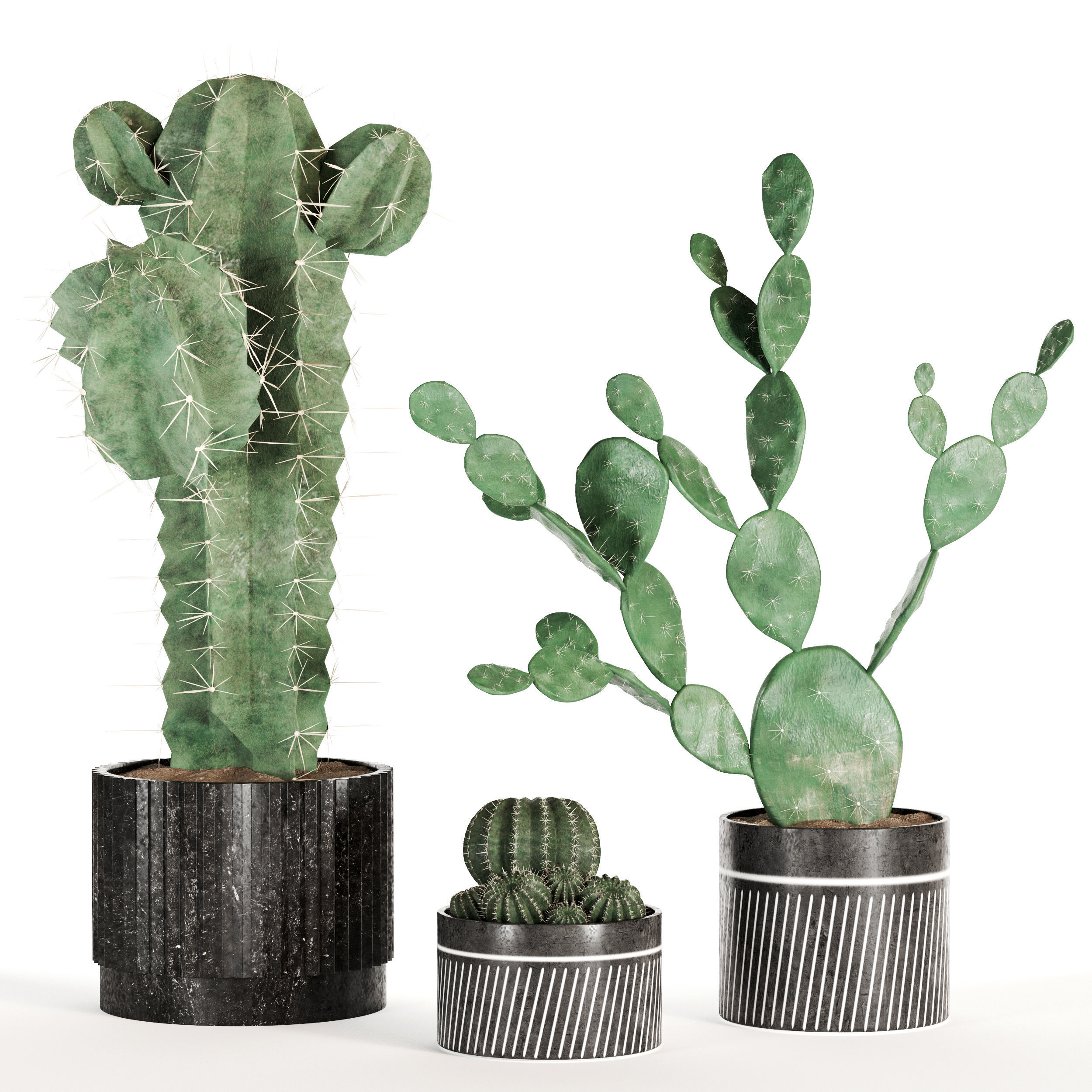 Indoor Plant Set 02 3D model_1