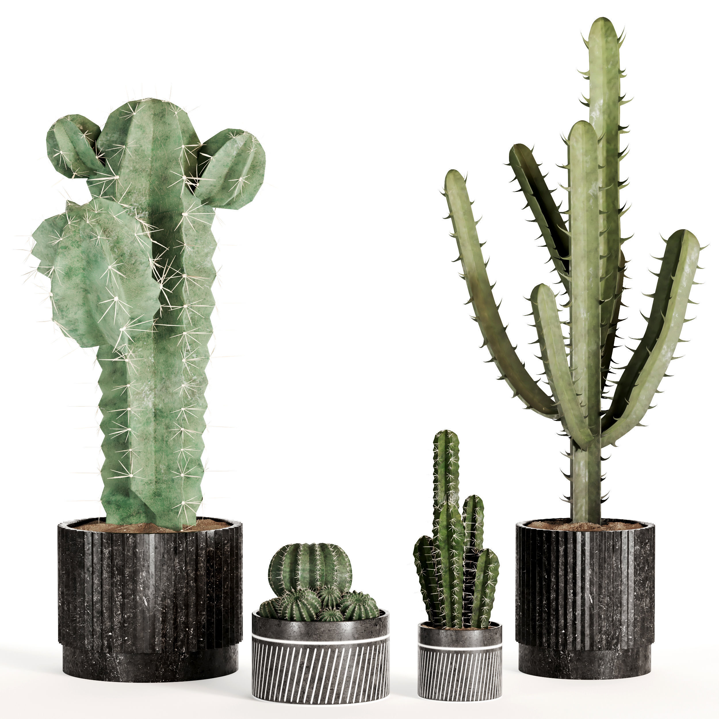 Indoor Plant Set 02 3D model_2