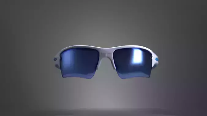 Oakley Flack Glasses