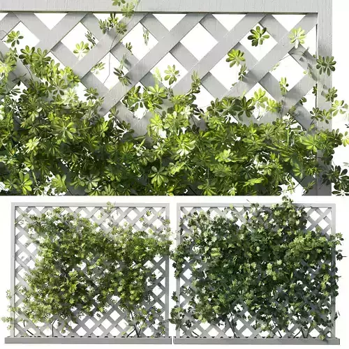Outdoor garden plant set 159 - Ivy on Fence 