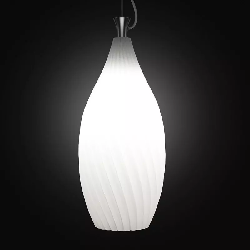 Ceiling Lamp 3D model_0