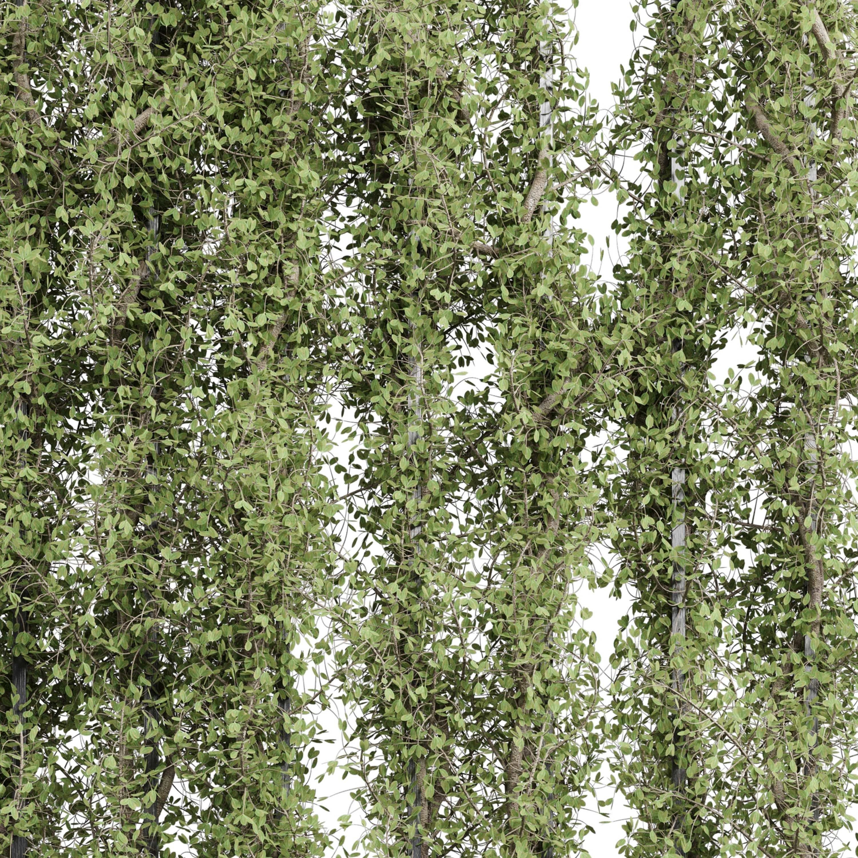 Vertical Wall Garden With Metal frame set 54 Low-poly 3D model_4