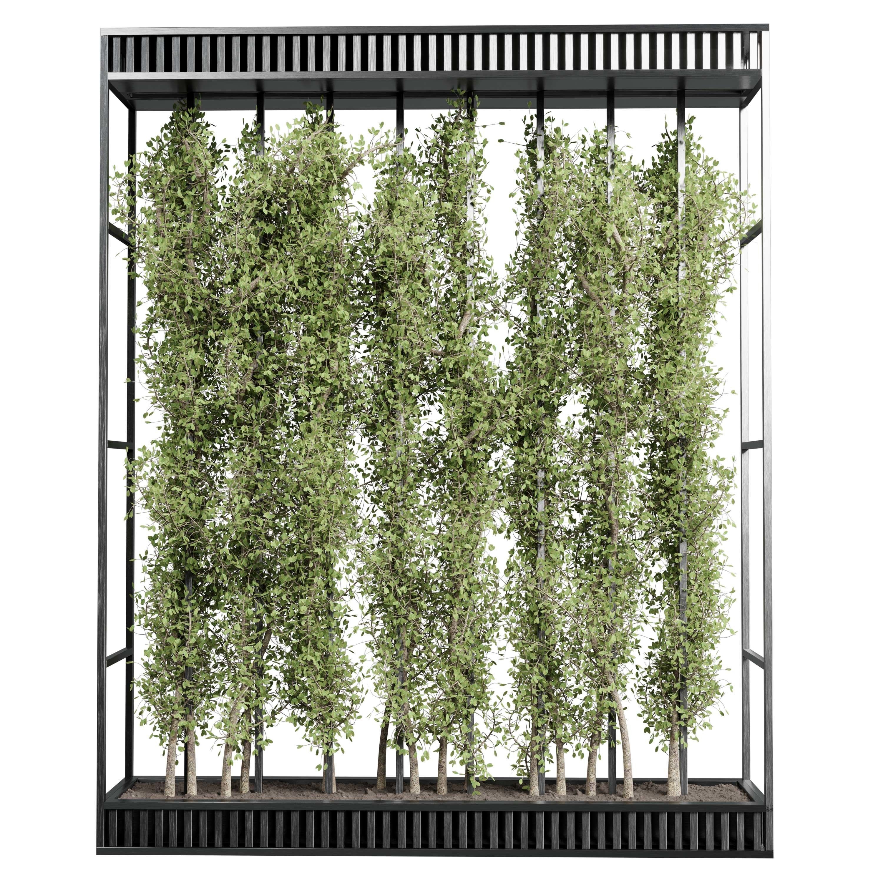 Vertical Wall Garden With Metal frame set 54 Low-poly 3D model_1