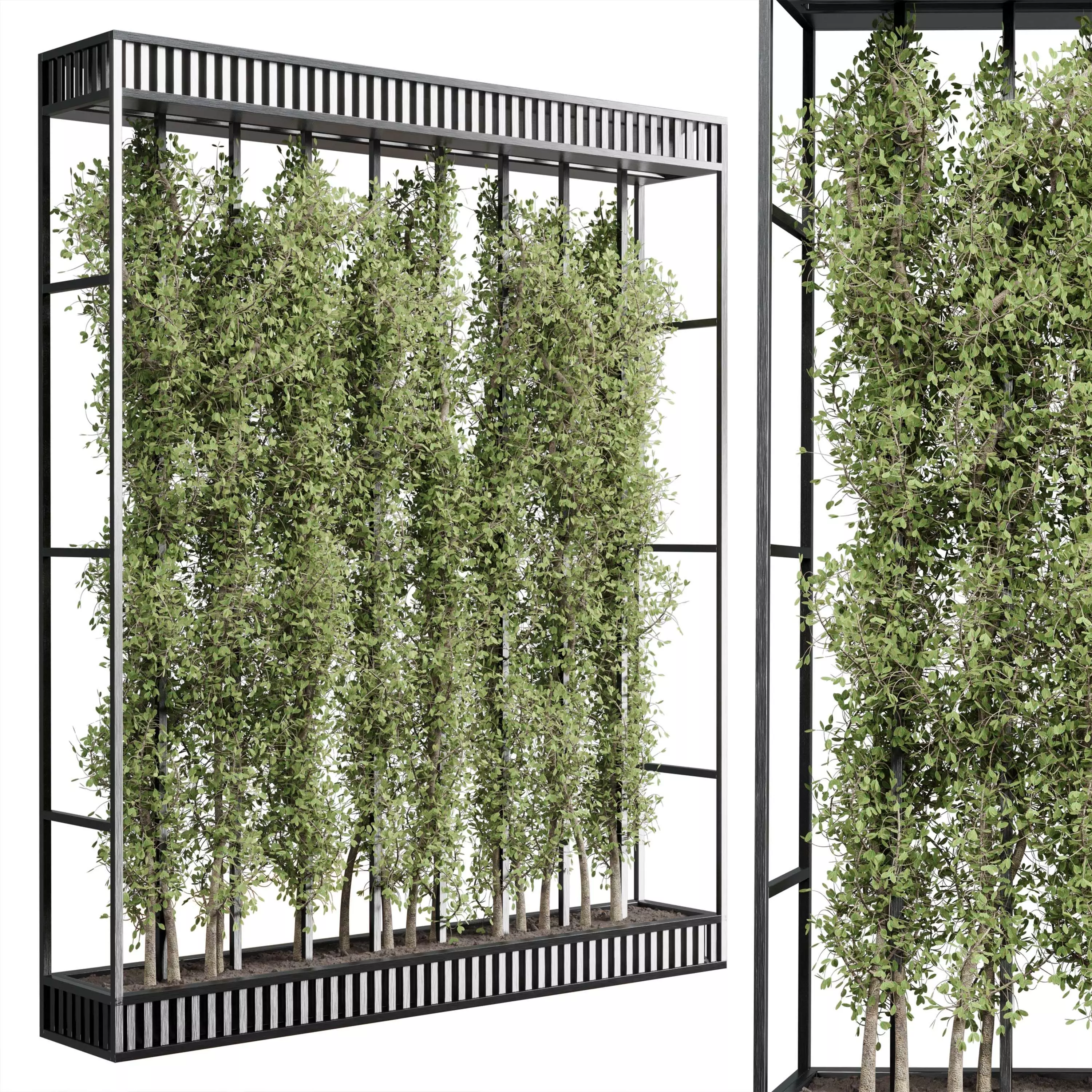 Vertical Wall Garden With Metal frame set 54 Low-poly 3D model_0