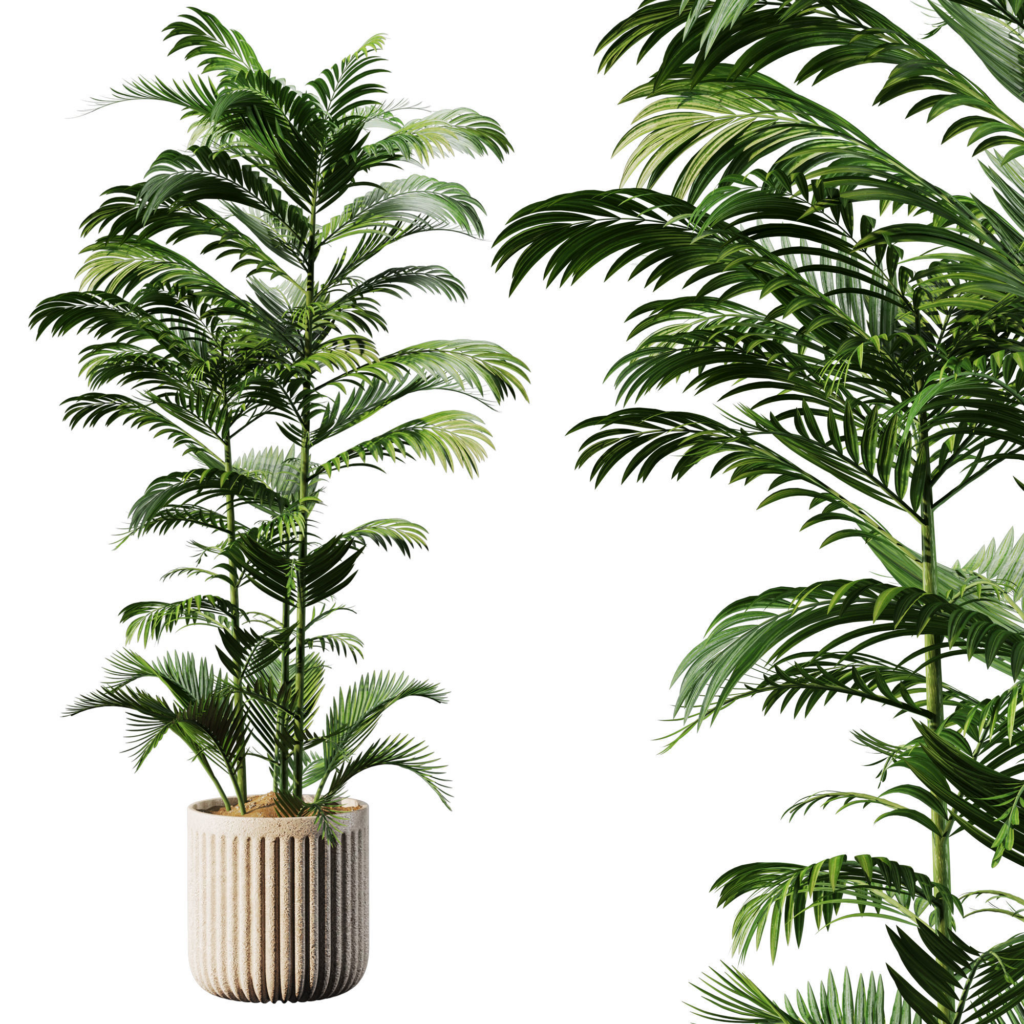 Indoor Plant Set 03 3D model_1