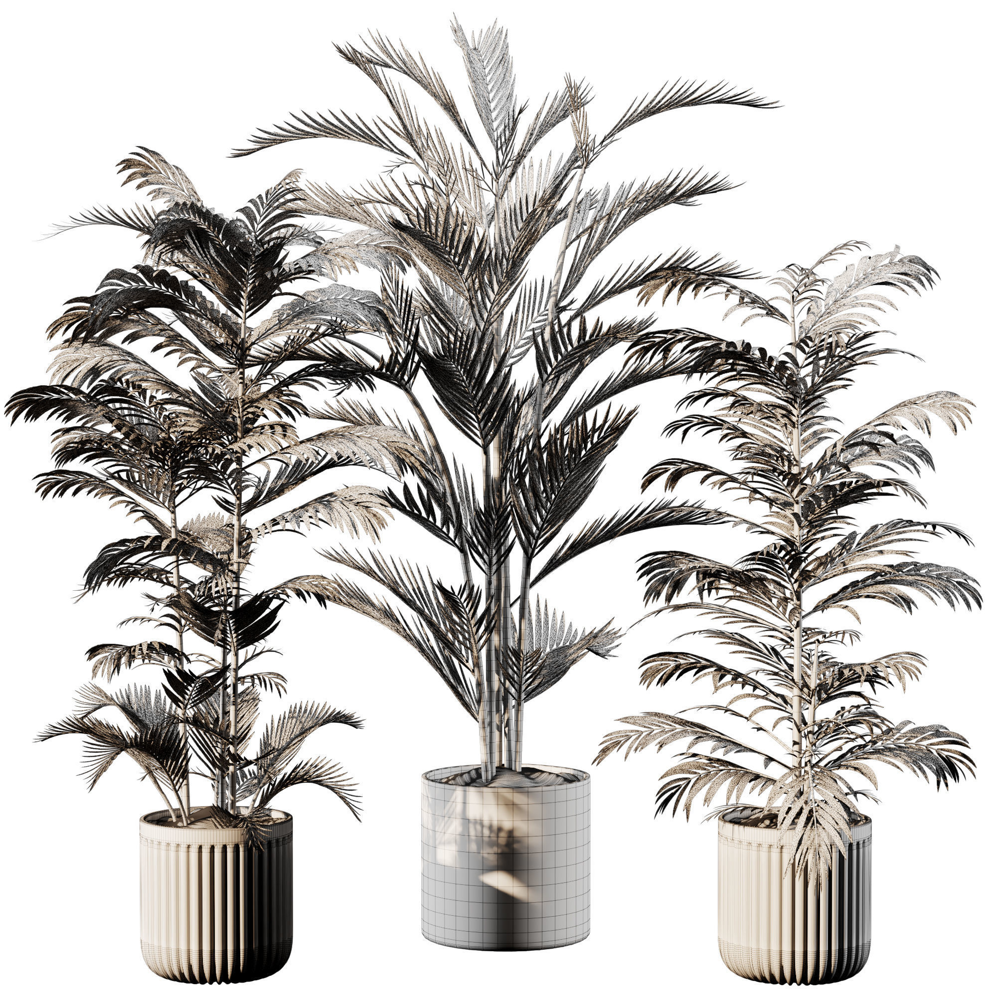 Indoor Plant Set 03 3D model_4