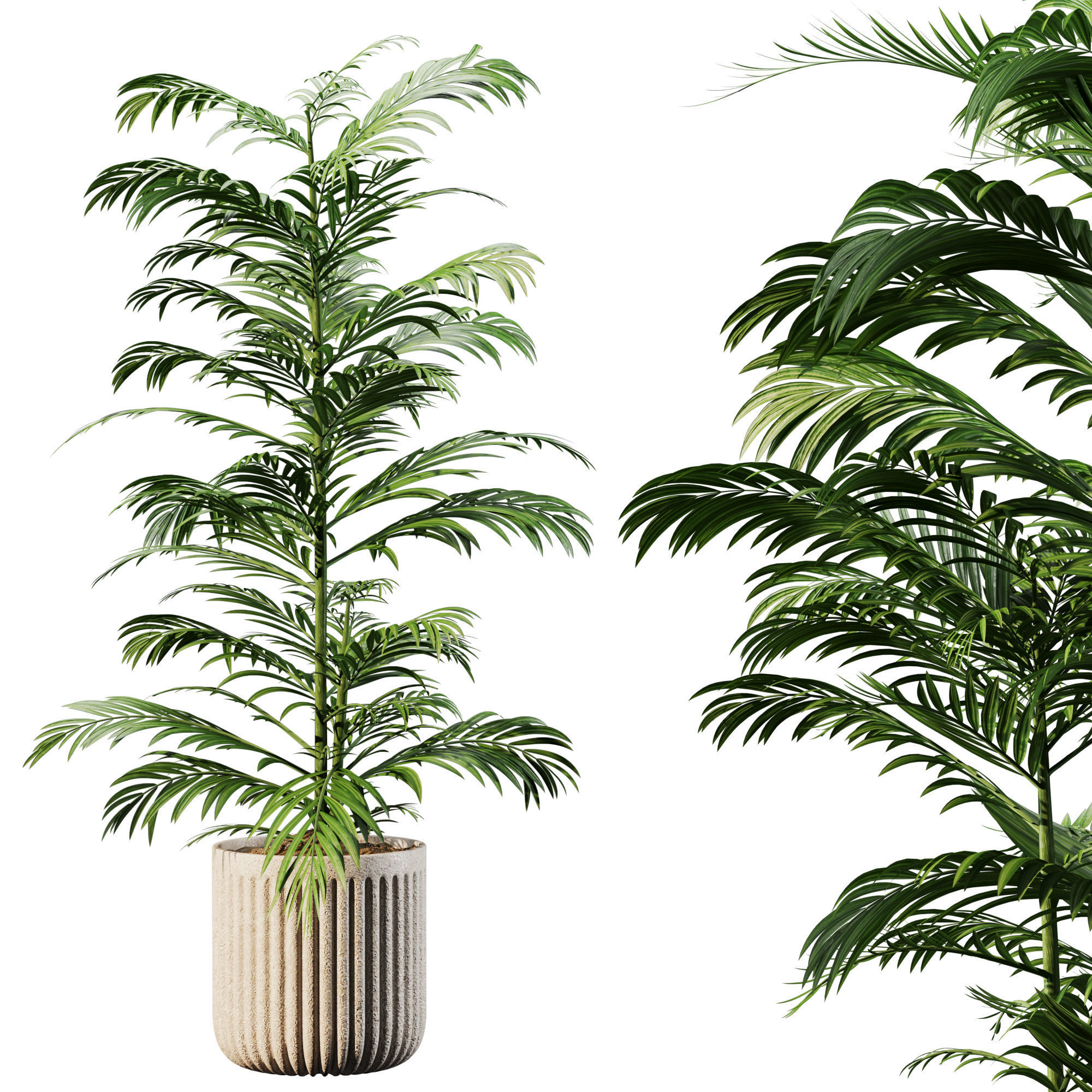 Indoor Plant Set 03 3D model_3