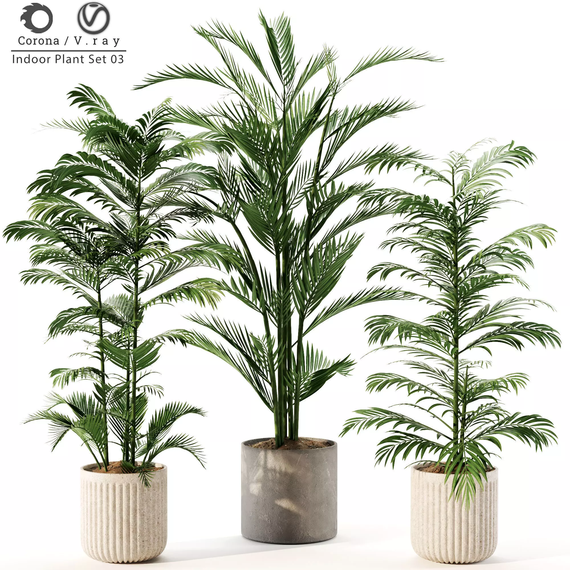 Indoor Plant Set 03 3D model_0