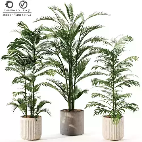 Indoor Plant Set 03 3D model
