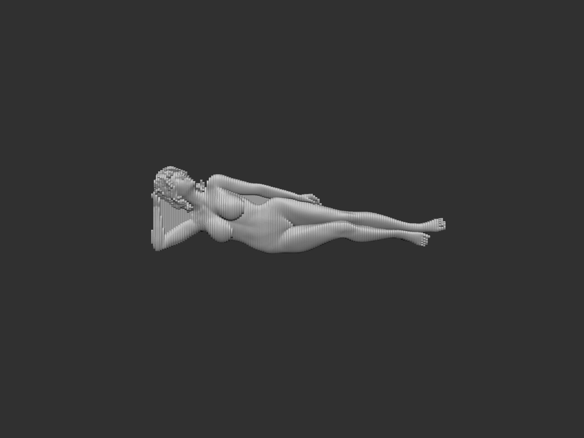 Female Figure Parametric Wall Art 3D print model_15