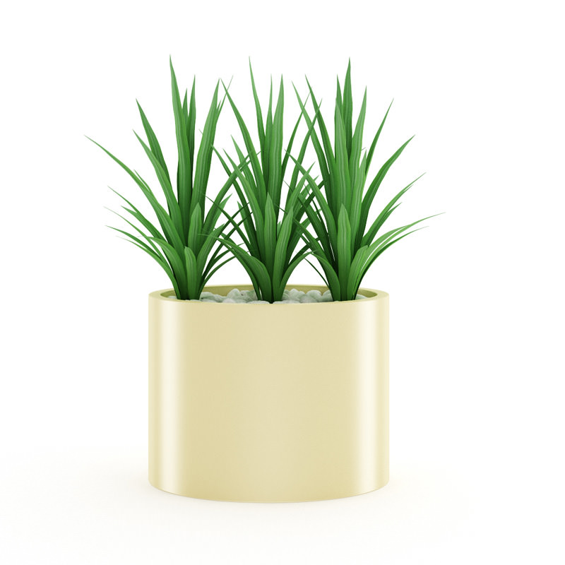 Triple Palm 3D model_3