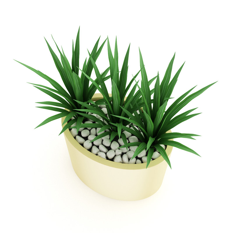 Triple Palm 3D model_1
